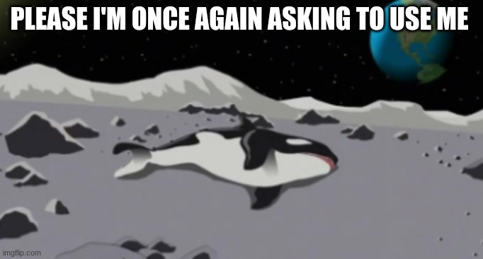 please im begging you | PLEASE I'M ONCE AGAIN ASKING TO USE ME | image tagged in dead orca | made w/ Imgflip meme maker