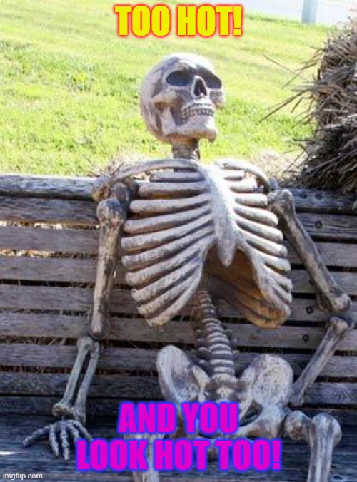 Waiting Skeleton | TOO HOT! AND YOU LOOK HOT TOO! | image tagged in memes,waiting skeleton | made w/ Imgflip meme maker