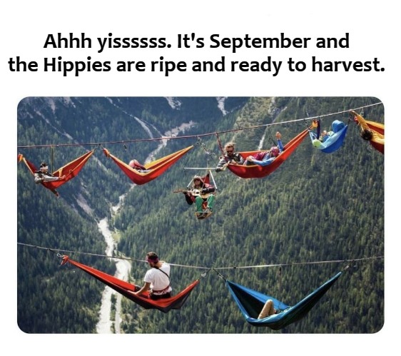 Ahhh yissssss. It's September and the Hippies are ripe and ready to harvest. | image tagged in hippies | made w/ Imgflip meme maker