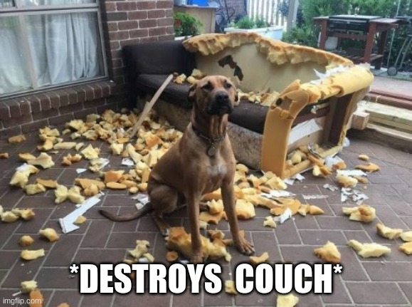 Bad dog dead couch | *DESTROYS  COUCH* | image tagged in bad dog dead couch | made w/ Imgflip meme maker