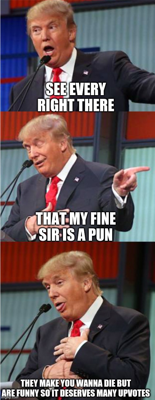 Bad Pun Trump | THAT MY FINE SIR IS A PUN SEE EVERY RIGHT THERE THEY MAKE YOU WANNA DIE BUT ARE FUNNY SO IT DESERVES MANY UPVOTES | image tagged in bad pun trump | made w/ Imgflip meme maker