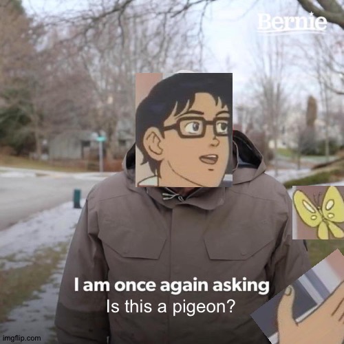 No it's not | Is this a pigeon? | image tagged in memes,bernie i am once again asking for your support,funny,is this a pigeon,anime,confusion | made w/ Imgflip meme maker