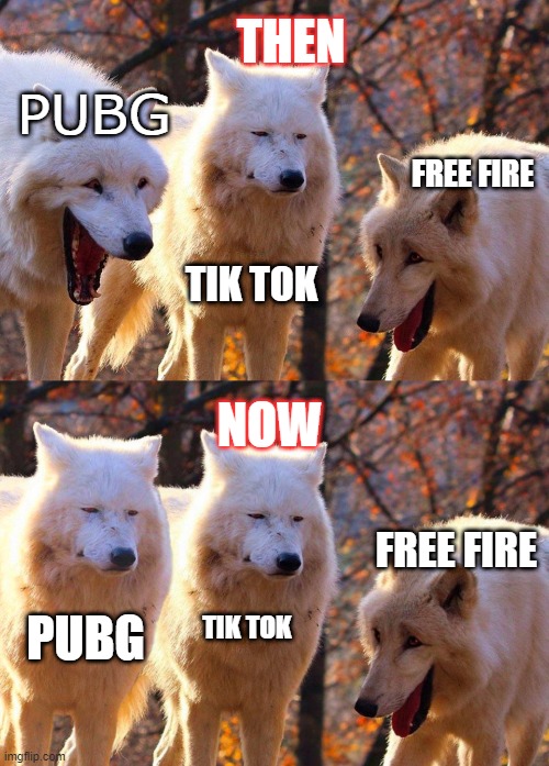 THEN; PUBG; FREE FIRE; TIK TOK; NOW; FREE FIRE; PUBG; TIK TOK | image tagged in 2/3 wolves laugh,1/3 wolves laugh | made w/ Imgflip meme maker