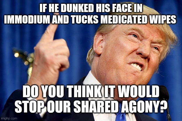 Apocalyptic hemorrhoid | IF HE DUNKED HIS FACE IN IMMODIUM AND TUCKS MEDICATED WIPES; DO YOU THINK IT WOULD STOP OUR SHARED AGONY? | image tagged in donald trump,hemorrhoids,diarrhea | made w/ Imgflip meme maker