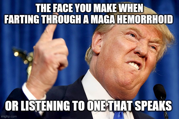 Human hemorrhoid | THE FACE YOU MAKE WHEN FARTING THROUGH A MAGA HEMORRHOID; OR LISTENING TO ONE THAT SPEAKS | image tagged in donald trump,maga | made w/ Imgflip meme maker