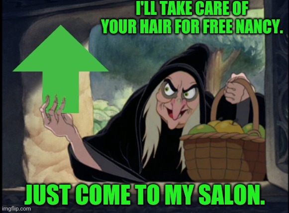 Evil Queen Upvote | JUST COME TO MY SALON. I'LL TAKE CARE OF YOUR HAIR FOR FREE NANCY. | image tagged in evil queen upvote | made w/ Imgflip meme maker