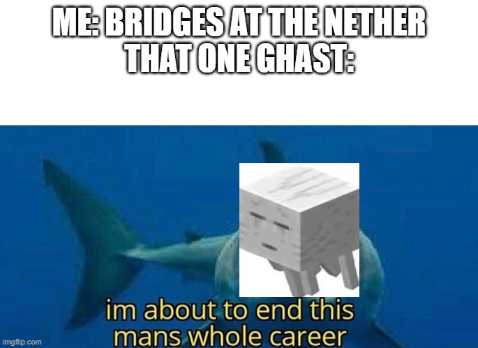 mincecraft | ME: BRIDGES AT THE NETHER
THAT ONE GHAST: | image tagged in im about to end this mans whole career | made w/ Imgflip meme maker