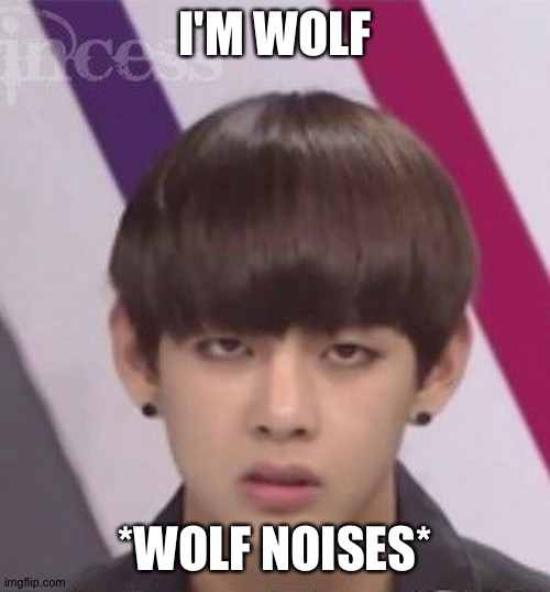 BTS V | I'M WOLF; *WOLF NOISES* | image tagged in bts v | made w/ Imgflip meme maker