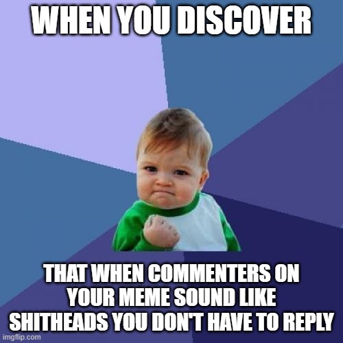 When you don't hear back from me, gee, I wonder what happened? | WHEN YOU DISCOVER; THAT WHEN COMMENTERS ON YOUR MEME SOUND LIKE SHITHEADS YOU DON'T HAVE TO REPLY | image tagged in memes,success kid,comments,shitheads,reply,ghost yall | made w/ Imgflip meme maker