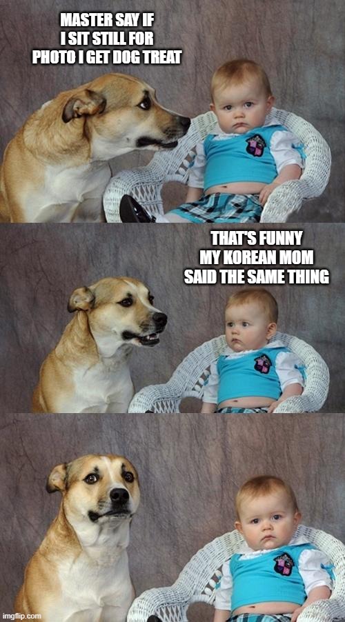 Dad Joke Dog | MASTER SAY IF I SIT STILL FOR PHOTO I GET DOG TREAT; THAT'S FUNNY MY KOREAN MOM SAID THE SAME THING | image tagged in memes,dad joke dog | made w/ Imgflip meme maker