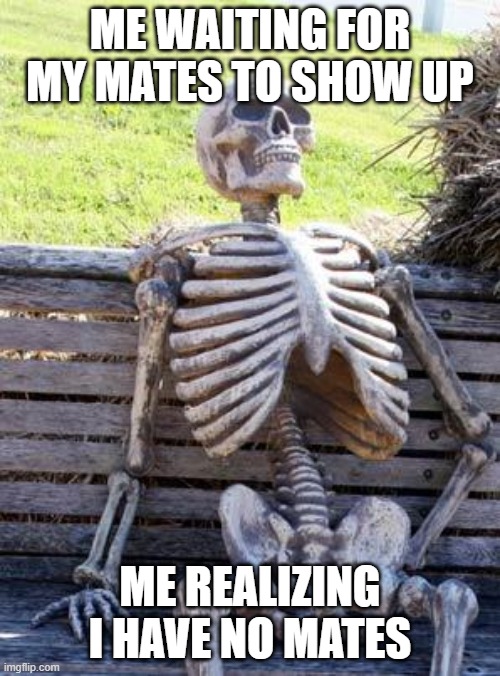 Waiting Skeleton Meme | ME WAITING FOR MY MATES TO SHOW UP; ME REALIZING I HAVE NO MATES | image tagged in memes,waiting skeleton | made w/ Imgflip meme maker