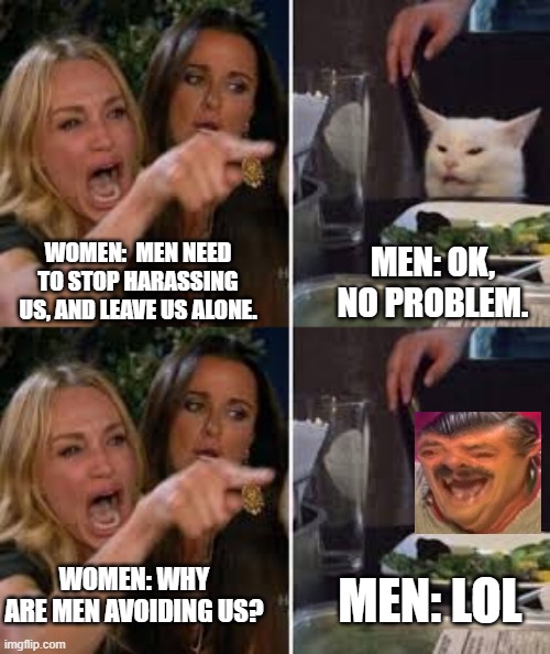 Women be like... | WOMEN:  MEN NEED TO STOP HARASSING US, AND LEAVE US ALONE. MEN: OK, NO PROBLEM. WOMEN: WHY ARE MEN AVOIDING US? MEN: LOL | image tagged in triggered feminist,men | made w/ Imgflip meme maker