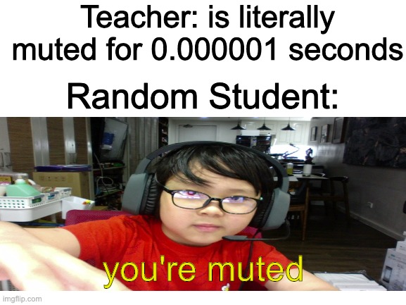 this is true | Teacher: is literally muted for 0.000001 seconds; Random Student:; you're muted | image tagged in memes,school | made w/ Imgflip meme maker