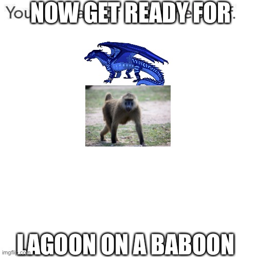 Lagoon on a baboon | NOW GET READY FOR; LAGOON ON A BABOON | image tagged in elf on a shelf | made w/ Imgflip meme maker