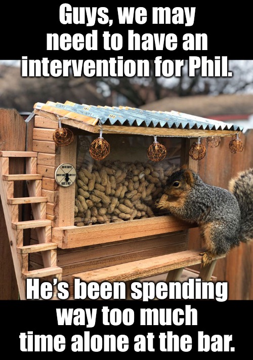 Poor Phil | Guys, we may need to have an intervention for Phil. He’s been spending way too much time alone at the bar. | image tagged in funny memes,squirrels | made w/ Imgflip meme maker