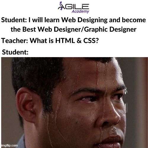 Learn Online Web Designing from Home under Industrial Experts with Job Placement at Agile Academy. | image tagged in memes,funny memes,best meme,offensivememes,onlineclassmeme,onlineclassesmemes | made w/ Imgflip meme maker
