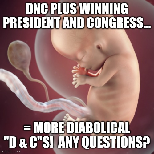 Dialation & curettage procedure!  Learn how this applies to abortion and already natural miscarriages! | DNC PLUS WINNING PRESIDENT AND CONGRESS... = MORE DIABOLICAL "D & C"S!  ANY QUESTIONS? | image tagged in abortion is murder,obstruction,of,injustice | made w/ Imgflip meme maker