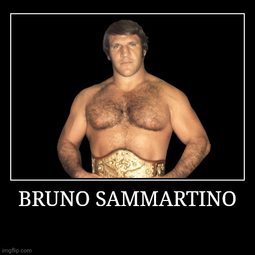 Bruno Sammartino | image tagged in demotivationals,wwe | made w/ Imgflip demotivational maker