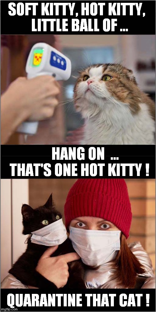 Covid Kitty ? | SOFT KITTY, HOT KITTY, LITTLE BALL OF ... HANG ON  ...
THAT'S ONE HOT KITTY ! QUARANTINE THAT CAT ! | image tagged in fun,covid,cats,quarantine | made w/ Imgflip meme maker