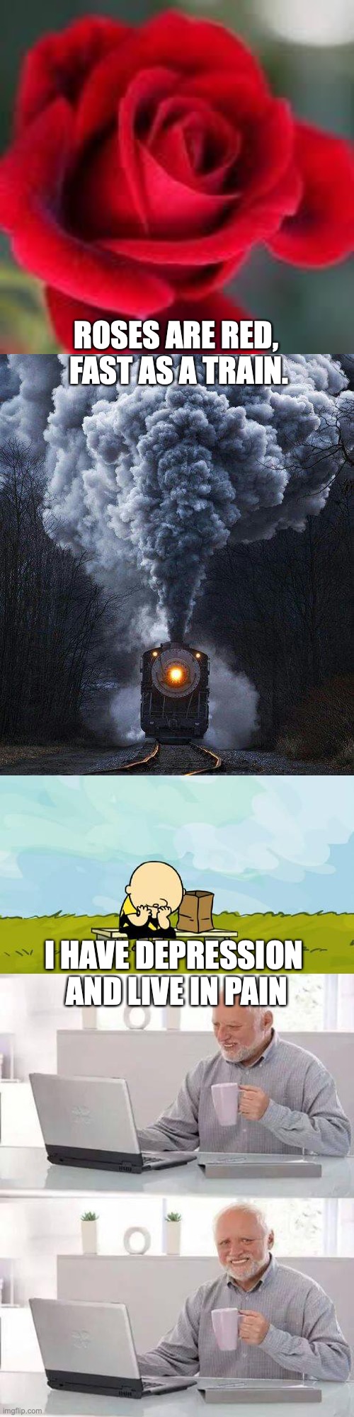 me |  ROSES ARE RED, 
FAST AS A TRAIN. I HAVE DEPRESSION 
AND LIVE IN PAIN | image tagged in depressed charlie brown,memes,hide the pain harold,train,roses are red | made w/ Imgflip meme maker