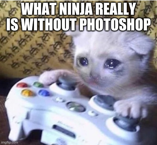 Sad gaming cat | WHAT NINJA REALLY IS WITHOUT PHOTOSHOP | image tagged in sad gaming cat | made w/ Imgflip meme maker
