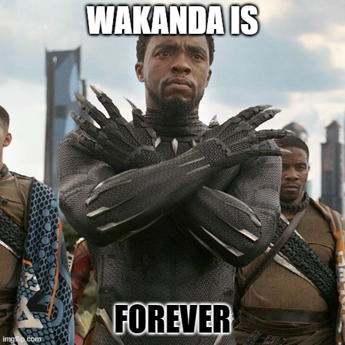 Wakanda Forever | WAKANDA IS; FOREVER | image tagged in wakanda forever | made w/ Imgflip meme maker