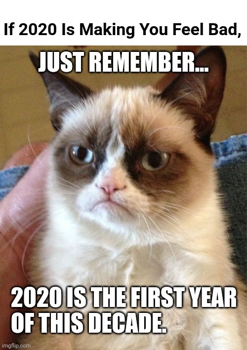 2020 Grumpy Cat | JUST REMEMBER... If 2020 Is Making You Feel Bad, 2020 IS THE FIRST YEAR 
OF THIS DECADE. | image tagged in memes,grumpy cat,2020 | made w/ Imgflip meme maker