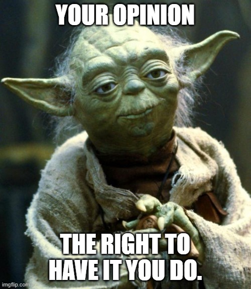 Star Wars Yoda Meme | YOUR OPINION THE RIGHT TO HAVE IT YOU DO. | image tagged in memes,star wars yoda | made w/ Imgflip meme maker