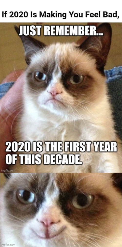 2020 Grumpy Cat | image tagged in grumpy cat happy,grumpy cat,2020 | made w/ Imgflip meme maker