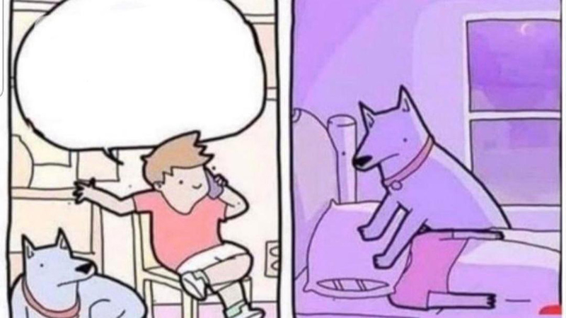 Dog placing pillow over owners head Blank Meme Template