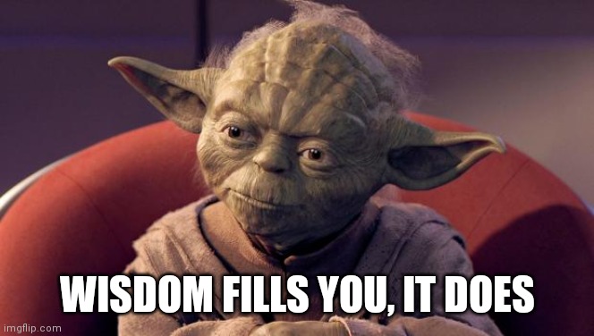 Yoda Wisdom | WISDOM FILLS YOU, IT DOES | image tagged in yoda wisdom | made w/ Imgflip meme maker