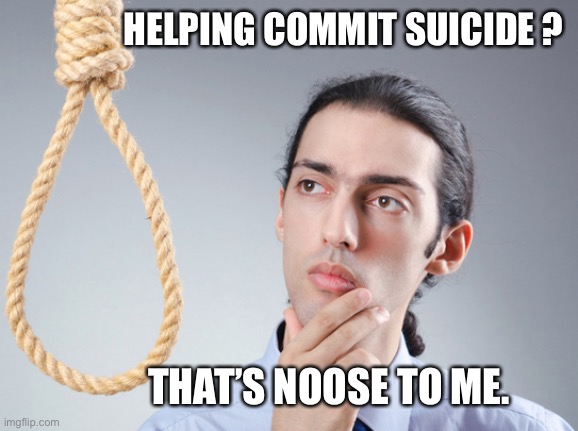 noose | HELPING COMMIT SUICIDE ? THAT’S NOOSE TO ME. | image tagged in noose | made w/ Imgflip meme maker