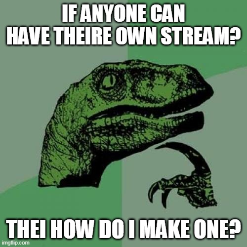 how do i make my own stream on imgflip? | IF ANYONE CAN HAVE THEIRE OWN STREAM? THEI HOW DO I MAKE ONE? | image tagged in memes,philosoraptor,imgflip | made w/ Imgflip meme maker