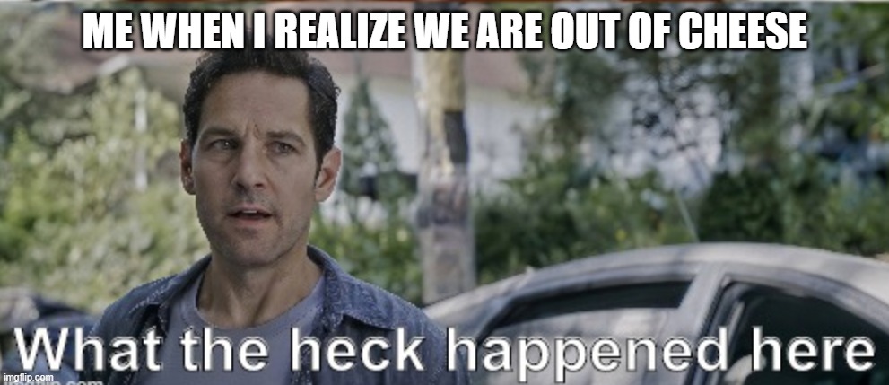 Out of Cheese | ME WHEN I REALIZE WE ARE OUT OF CHEESE | image tagged in antman what the heck happened here | made w/ Imgflip meme maker