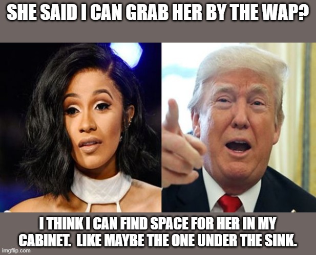 cabinet wap | SHE SAID I CAN GRAB HER BY THE WAP? I THINK I CAN FIND SPACE FOR HER IN MY CABINET.  LIKE MAYBE THE ONE UNDER THE SINK. | image tagged in cardi b | made w/ Imgflip meme maker