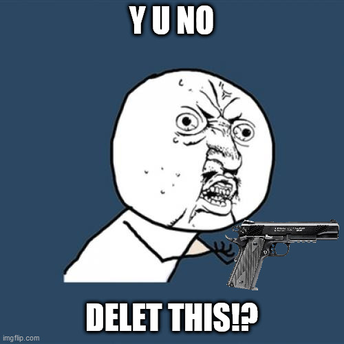 Y U No Meme | Y U NO DELET THIS!? | image tagged in memes,y u no | made w/ Imgflip meme maker