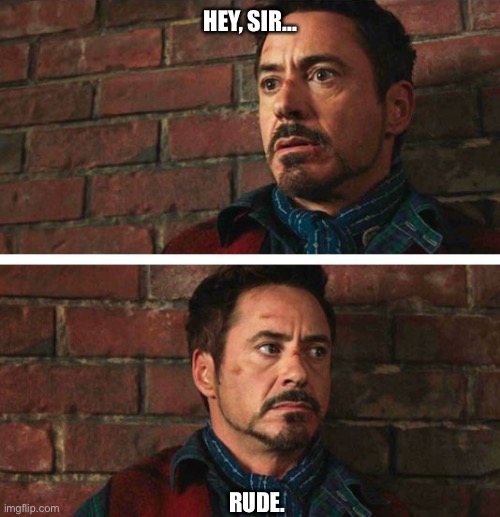 Excuse me, | HEY, SIR... RUDE. | image tagged in iron man,tony stark,rude,ignore,reactions | made w/ Imgflip meme maker