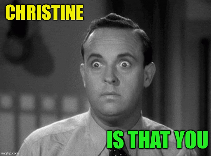 shocked face | CHRISTINE IS THAT YOU | image tagged in shocked face | made w/ Imgflip meme maker