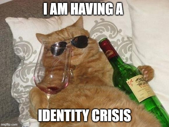 Funny Cat Birthday | I AM HAVING A; IDENTITY CRISIS | image tagged in funny cat birthday | made w/ Imgflip meme maker