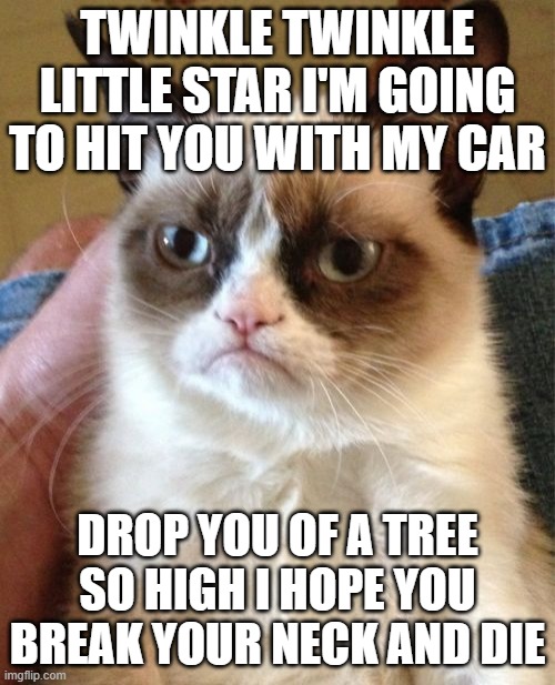 Grumpy Cat | TWINKLE TWINKLE LITTLE STAR I'M GOING TO HIT YOU WITH MY CAR; DROP YOU OF A TREE SO HIGH I HOPE YOU BREAK YOUR NECK AND DIE | image tagged in memes,grumpy cat | made w/ Imgflip meme maker