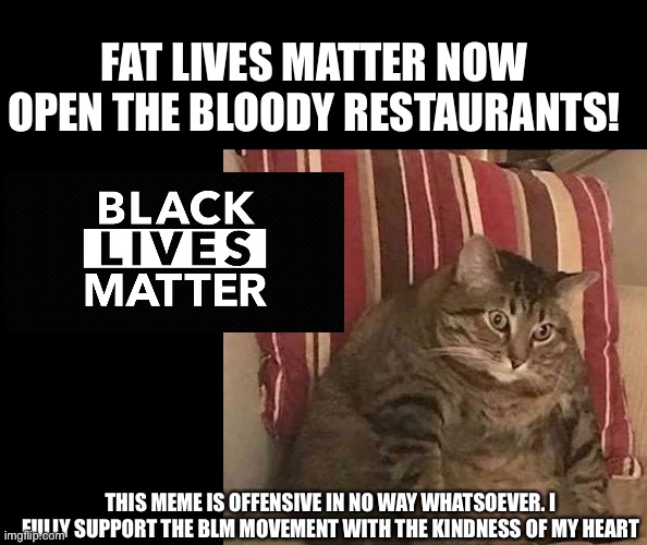 Fat lives matter | FAT LIVES MATTER NOW OPEN THE BLOODY RESTAURANTS! THIS MEME IS OFFENSIVE IN NO WAY WHATSOEVER. I FULLY SUPPORT THE BLM MOVEMENT WITH THE KINDNESS OF MY HEART | image tagged in blm,black lives matter,fat,cats,reactions | made w/ Imgflip meme maker