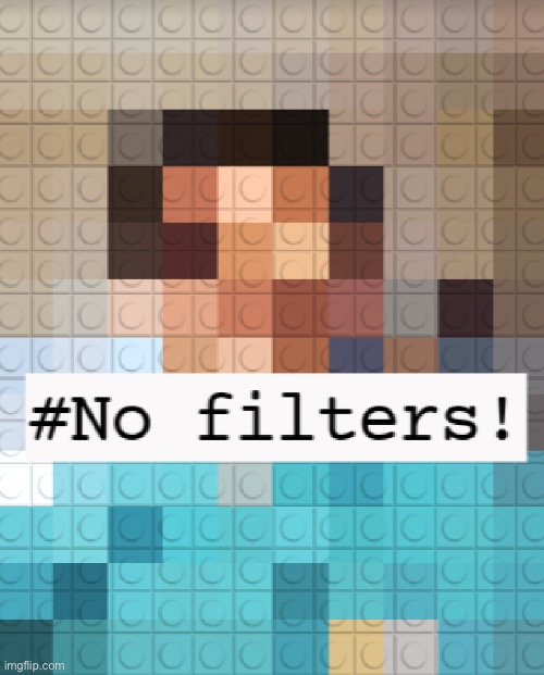 This person definitely has no filter. They just recreated themselves with LEGO blocks! | image tagged in no filter,dumb,instagram | made w/ Imgflip meme maker