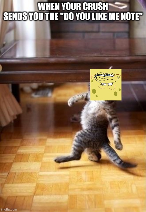 Cool Cat Stroll | WHEN YOUR CRUSH SENDS YOU THE "DO YOU LIKE ME NOTE" | image tagged in memes,cool cat stroll | made w/ Imgflip meme maker