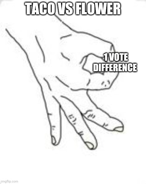 OK Hand | TACO VS FLOWER 1 VOTE DIFFERENCE | image tagged in ok hand | made w/ Imgflip meme maker