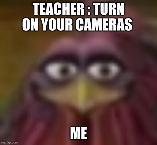 Me who hasn't brushed his teeth | TEACHER : TURN ON YOUR CAMERAS; ME | image tagged in chicken | made w/ Imgflip meme maker