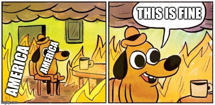 america | THIS IS FINE; AMERICA; AMERICA | image tagged in this is fine blank | made w/ Imgflip meme maker