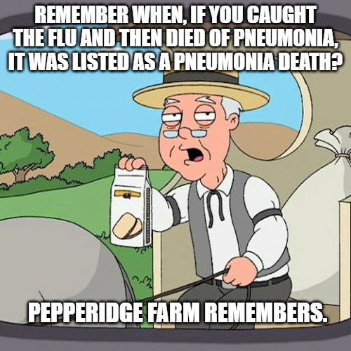 Pepperidge Farm Remembers Meme | REMEMBER WHEN, IF YOU CAUGHT THE FLU AND THEN DIED OF PNEUMONIA, IT WAS LISTED AS A PNEUMONIA DEATH? PEPPERIDGE FARM REMEMBERS. | image tagged in memes,pepperidge farm remembers | made w/ Imgflip meme maker