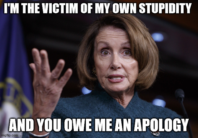 Good old Nancy Pelosi | I'M THE VICTIM OF MY OWN STUPIDITY; AND YOU OWE ME AN APOLOGY | image tagged in good old nancy pelosi,crying democrats,victim mentality,hairgate 2020 | made w/ Imgflip meme maker