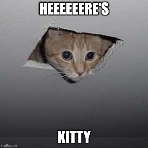 Ceiling Cat | HEEEEEERE'S; KITTY | image tagged in memes,ceiling cat,that's cute | made w/ Imgflip meme maker