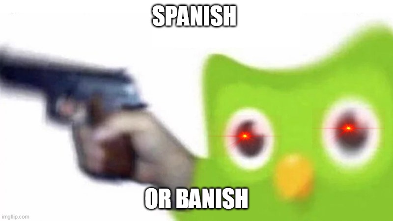 LOOKS LIKE YOU HAVE MISED YOUR SPAINSH LESSON FOR THE DAY! | SPANISH; OR BANISH | image tagged in duolingo gun | made w/ Imgflip meme maker